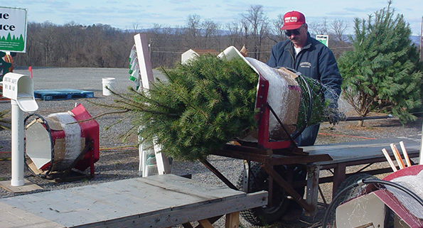 Christmas Trees &amp; Wreaths | Kohls Stony Hill Tree Farm